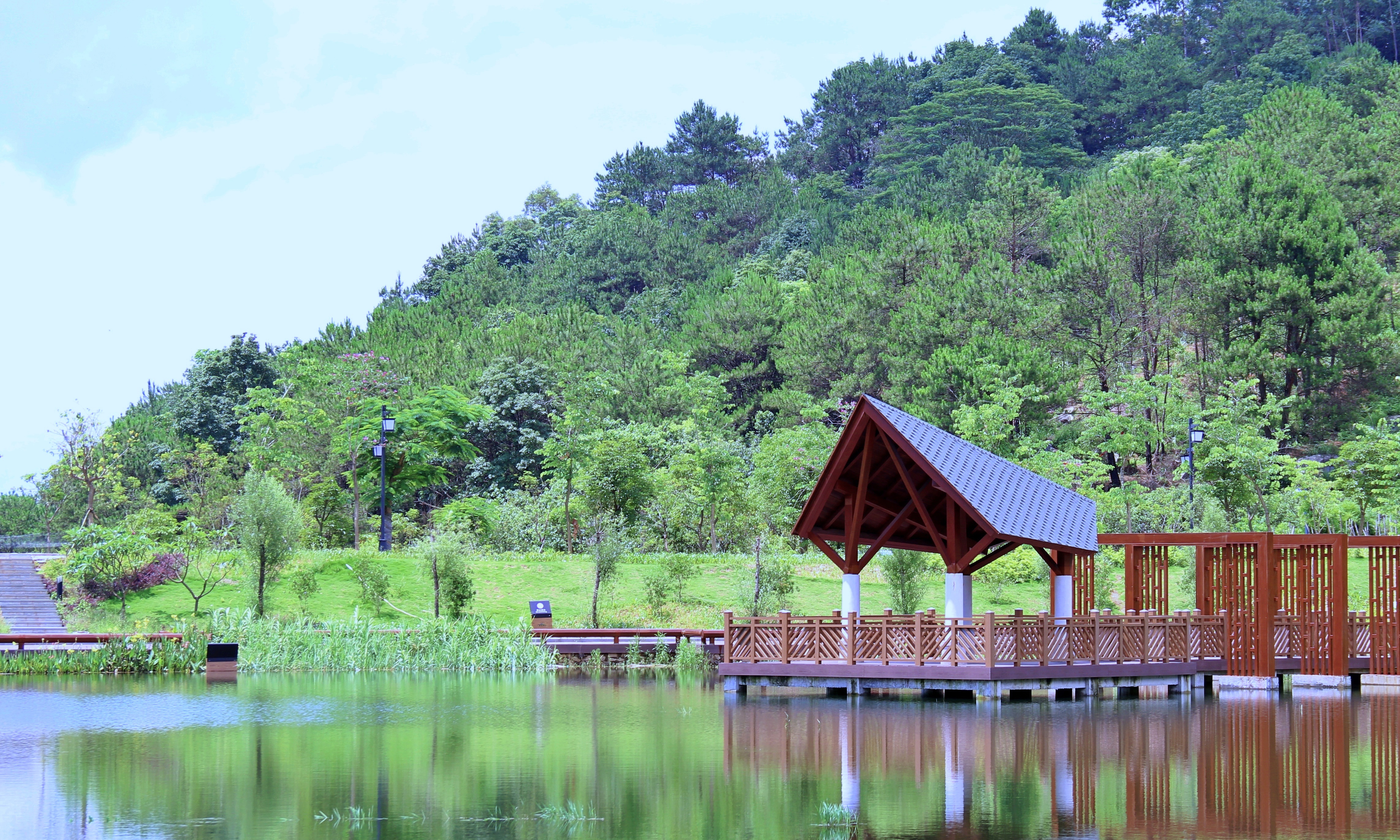 Shenguangshan Forest Park